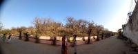 Govardhan Parikrama by eRickshaw. (Uddhav Kund, Kusum Sarovar, Govind Kund) (21 March 2025)